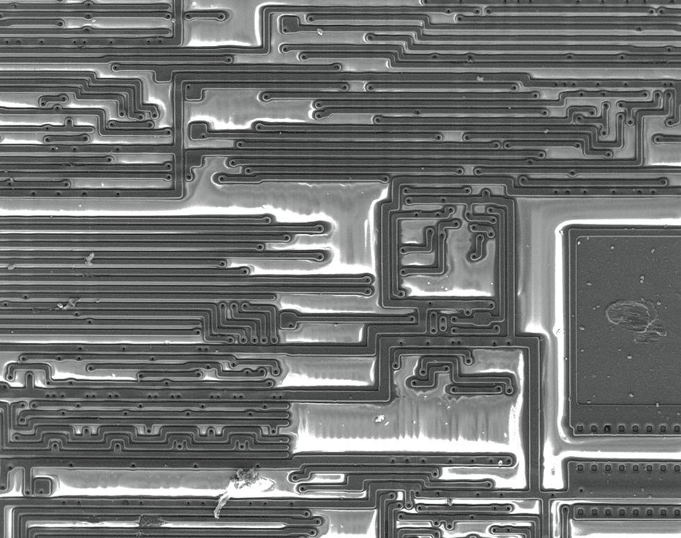 Microchip